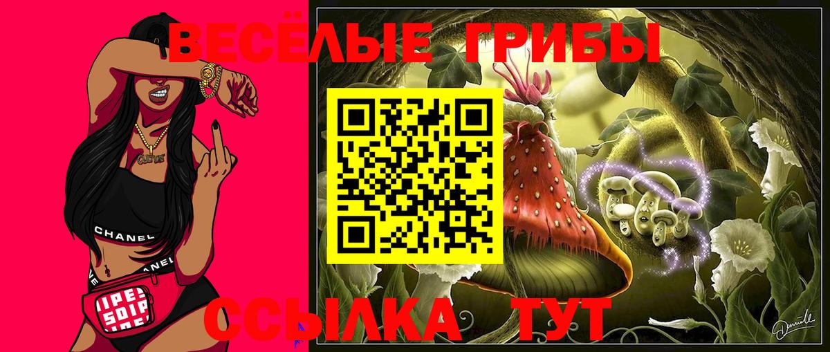 Шелехов  Галлюциногенные грибы мицелий  даркнет сайт  Вход с VPN  Псилоцибиновые грибы GOLDEN TEACHER 